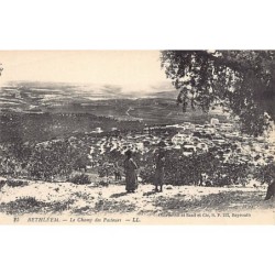 Rare collectable postcards of Israel / Palestine. Vintage Postcards of Israel / Palestine