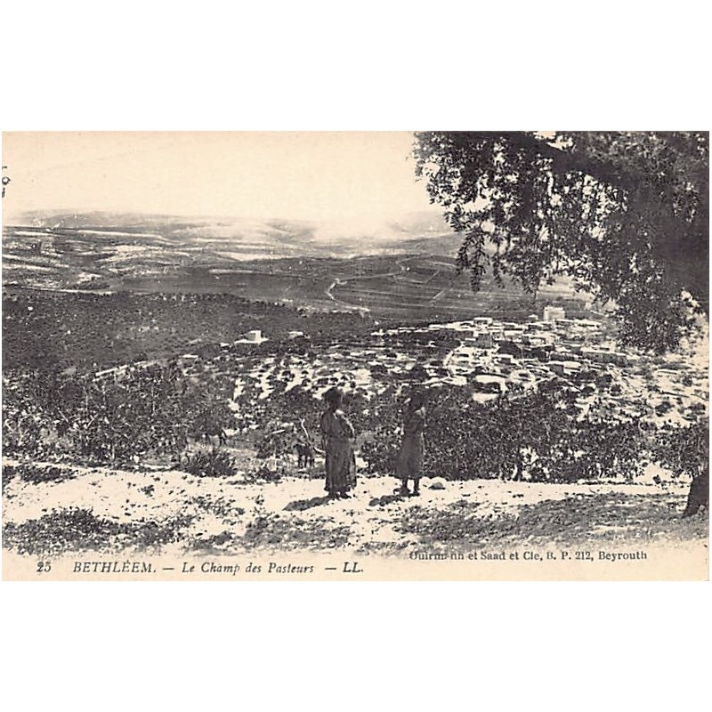 Rare collectable postcards of Israel / Palestine. Vintage Postcards of Israel / Palestine