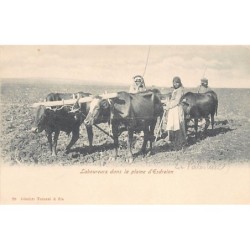 Rare collectable postcards of Israel / Palestine. Vintage Postcards of Israel / Palestine