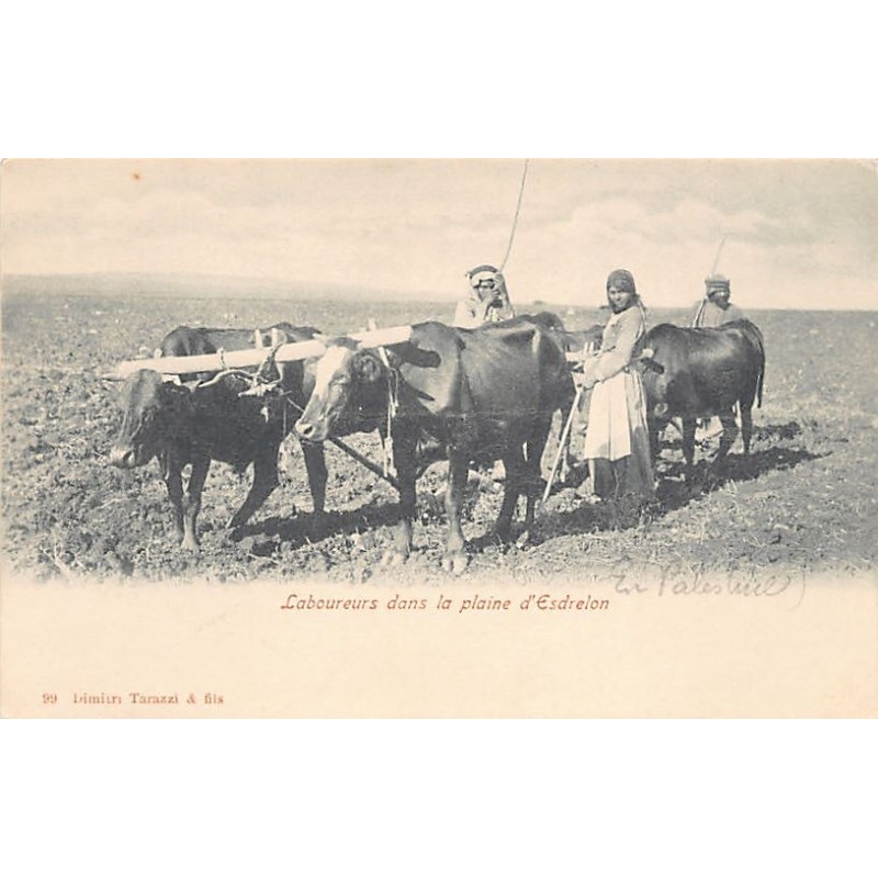 Rare collectable postcards of Israel / Palestine. Vintage Postcards of Israel / Palestine