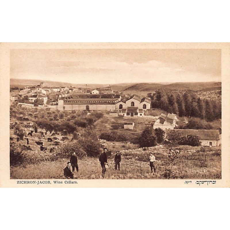 Rare collectable postcards of Israel / Palestine. Vintage Postcards of Israel / Palestine