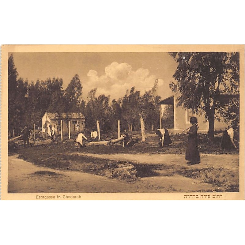 Rare collectable postcards of Israel / Palestine. Vintage Postcards of Israel / Palestine