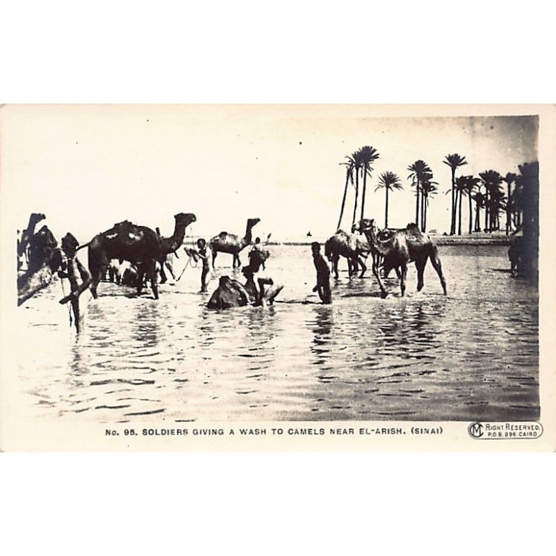 Rare collectable postcards of Israel / Palestine. Vintage Postcards of Israel / Palestine