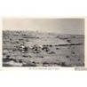 Rare collectable postcards of Israel / Palestine. Vintage Postcards of Israel / Palestine
