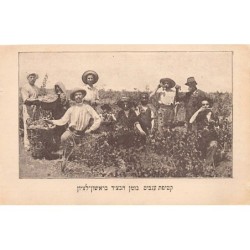 Rare collectable postcards of Israel / Palestine. Vintage Postcards of Israel / Palestine