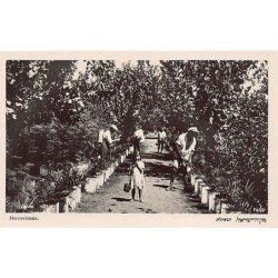 Rare collectable postcards of Israel / Palestine. Vintage Postcards of Israel / Palestine