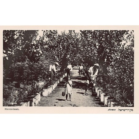 Rare collectable postcards of Israel / Palestine. Vintage Postcards of Israel / Palestine