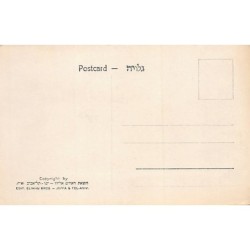 Rare collectable postcards of Israel / Palestine. Vintage Postcards of Israel / Palestine