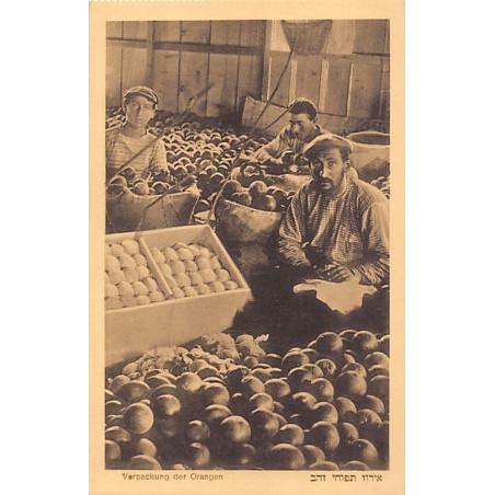 Rare collectable postcards of Israel / Palestine. Vintage Postcards of Israel / Palestine