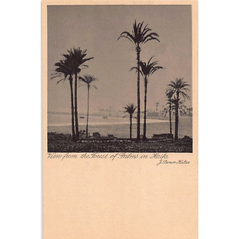 Rare collectable postcards of Israel / Palestine. Vintage Postcards of Israel / Palestine