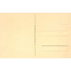 Rare collectable postcards of NEDERLAND. Vintage Postcards of NEDERLAND