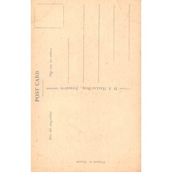 Rare collectable postcards of Israel / Palestine. Vintage Postcards of Israel / Palestine