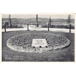 Rare collectable postcards of Israel / Palestine. Vintage Postcards of Israel / Palestine