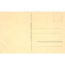 Rare collectable postcards of NEDERLAND. Vintage Postcards of NEDERLAND