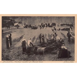 Rare collectable postcards of Israel / Palestine. Vintage Postcards of Israel / Palestine