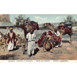 Rare collectable postcards of Israel / Palestine. Vintage Postcards of Israel / Palestine