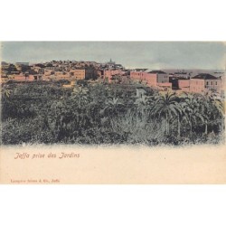 Rare collectable postcards of Israel / Palestine. Vintage Postcards of Israel / Palestine