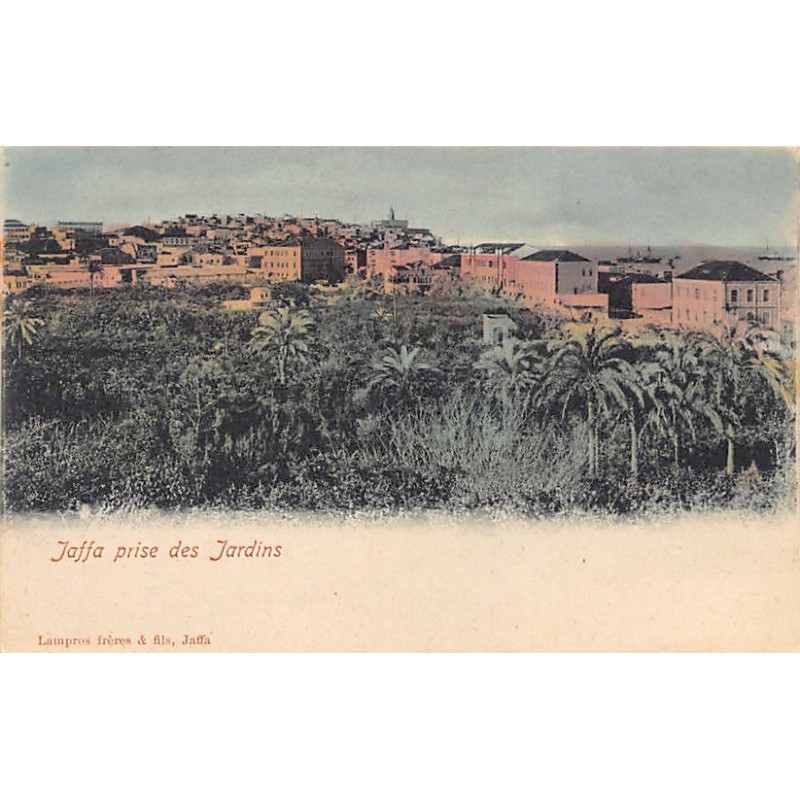 Rare collectable postcards of Israel / Palestine. Vintage Postcards of Israel / Palestine