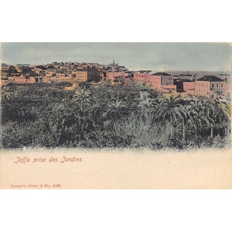 Rare collectable postcards of Israel / Palestine. Vintage Postcards of Israel / Palestine