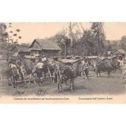 Rare collectable postcards of Laos. Vintage Postcards of Laos