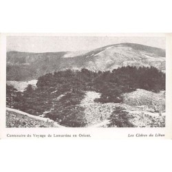 Rare collectable postcards of Lebanon. Vintage Postcards of Lebanon