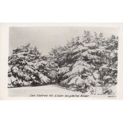 Rare collectable postcards of Lebanon. Vintage Postcards of Lebanon