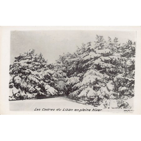 Rare collectable postcards of Lebanon. Vintage Postcards of Lebanon
