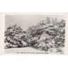 Rare collectable postcards of Lebanon. Vintage Postcards of Lebanon