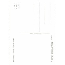 Rare collectable postcards of Italy. Vintage Postcards of Italy