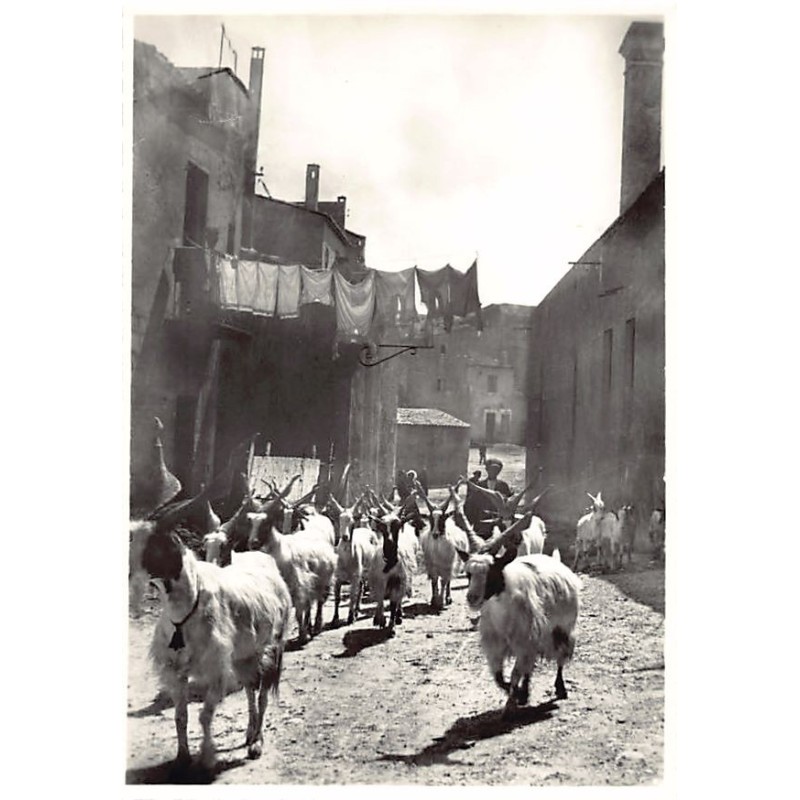 Rare collectable postcards of Italy. Vintage Postcards of Italy