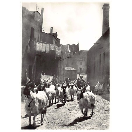 Rare collectable postcards of Italy. Vintage Postcards of Italy