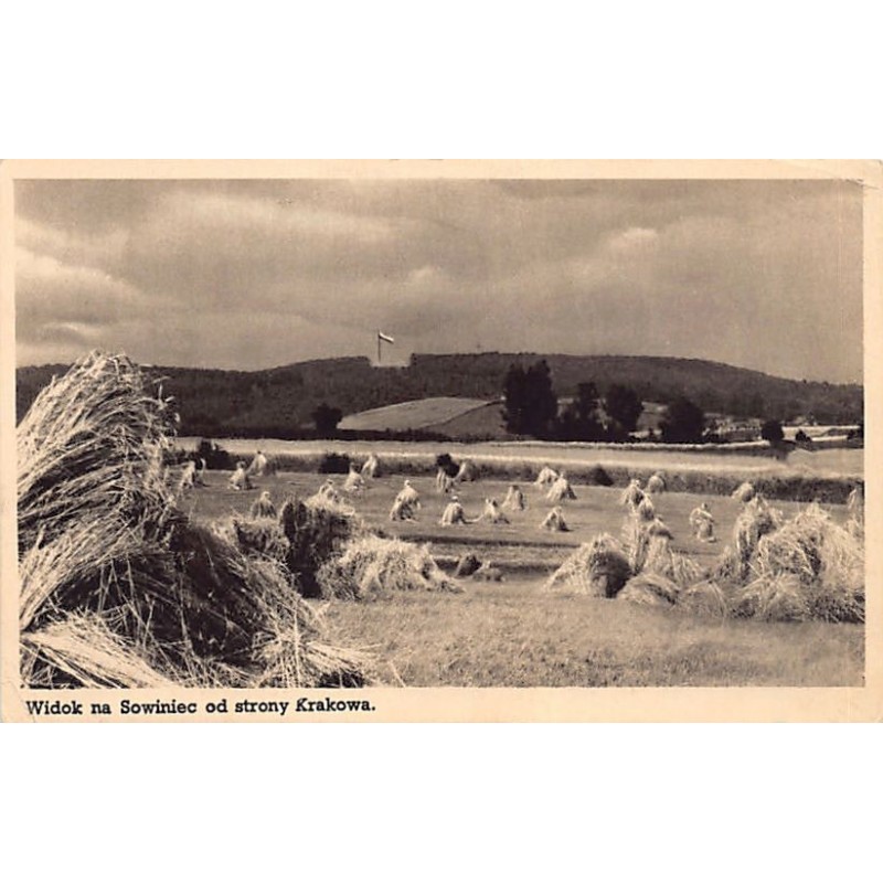 Rare collectable postcards of Poland. Vintage Postcards of Poland