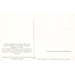 Rare collectable postcards of Poland. Vintage Postcards of Poland