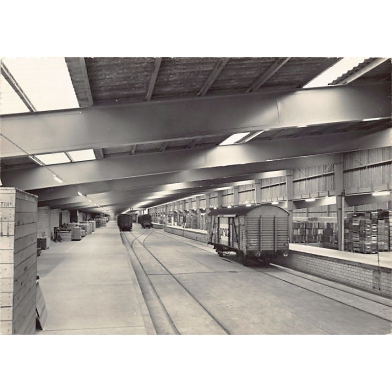 Rare collectable postcards of Switzerland. Vintage Postcards of Switzerland