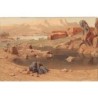 Rare collectable postcards of Egypt. Vintage Postcards of Egypt