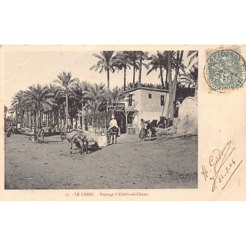 Rare collectable postcards of Egypt. Vintage Postcards of Egypt