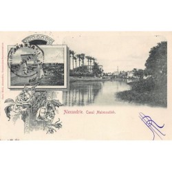 Rare collectable postcards of Egypt. Vintage Postcards of Egypt