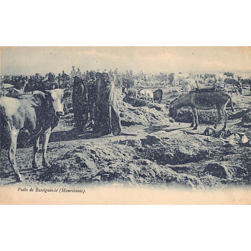 Rare collectable postcards of Mauritania. Vintage Postcards of Mauritania