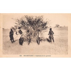 Rare collectable postcards of Mauritania. Vintage Postcards of Mauritania