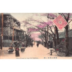 Rare collectable postcards of Japan. Vintage Postcards of Japan