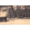 Rare collectable postcards of NEDERLAND. Vintage Postcards of NEDERLAND