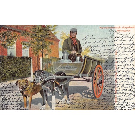 Rare collectable postcards of NEDERLAND. Vintage Postcards of NEDERLAND