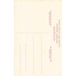 Rare collectable postcards of ETHNIC NUDE. Vintage Postcards of ETHNIC NUDE