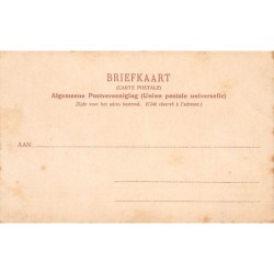 Rare collectable postcards of NEDERLAND. Vintage Postcards of NEDERLAND