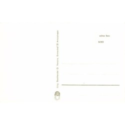 Rare collectable postcards of NEDERLAND. Vintage Postcards of NEDERLAND