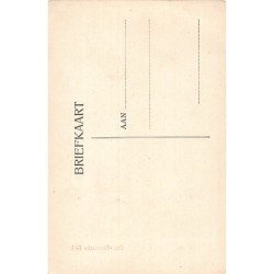 Rare collectable postcards of NEDERLAND. Vintage Postcards of NEDERLAND