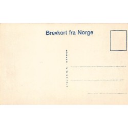 Norway - SOGNEFJORDEN - Publ. K. Knudsen 63