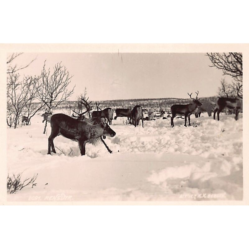 Rare collectable postcards of NORWAY. Vintage Postcards of NORWAY