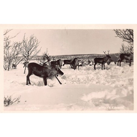 Rare collectable postcards of NORWAY. Vintage Postcards of NORWAY