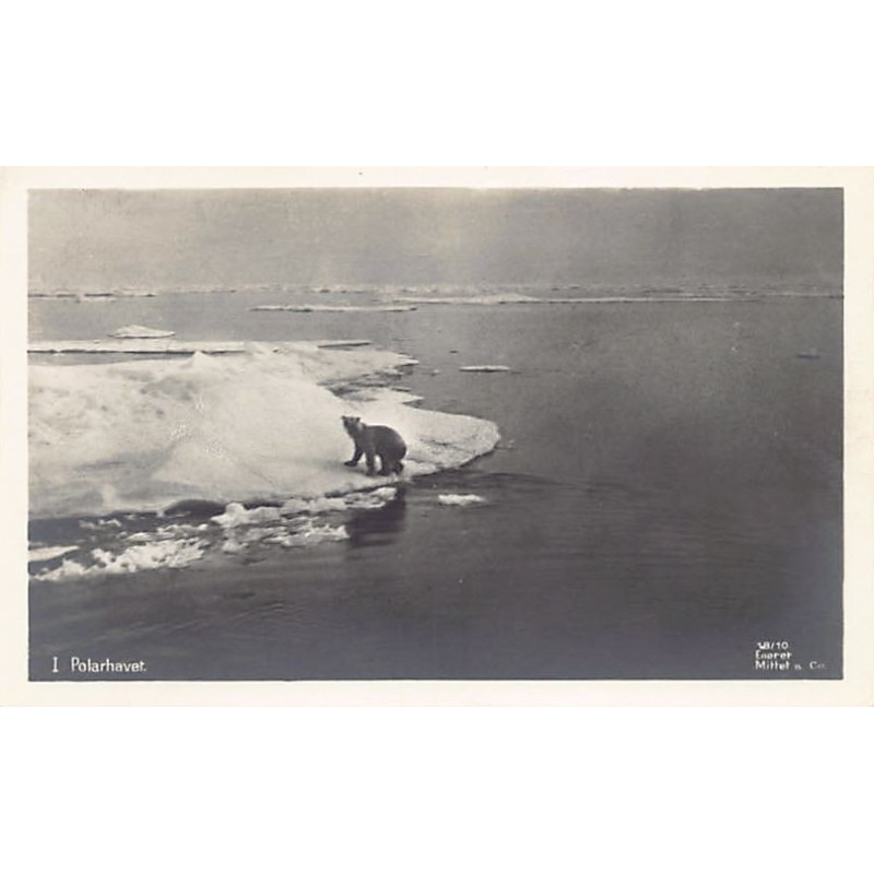 Rare collectable postcards of NORWAY. Vintage Postcards of NORWAY